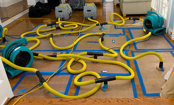 Professional Basement Flood Cleanup technician working in Rehrersburg, PA